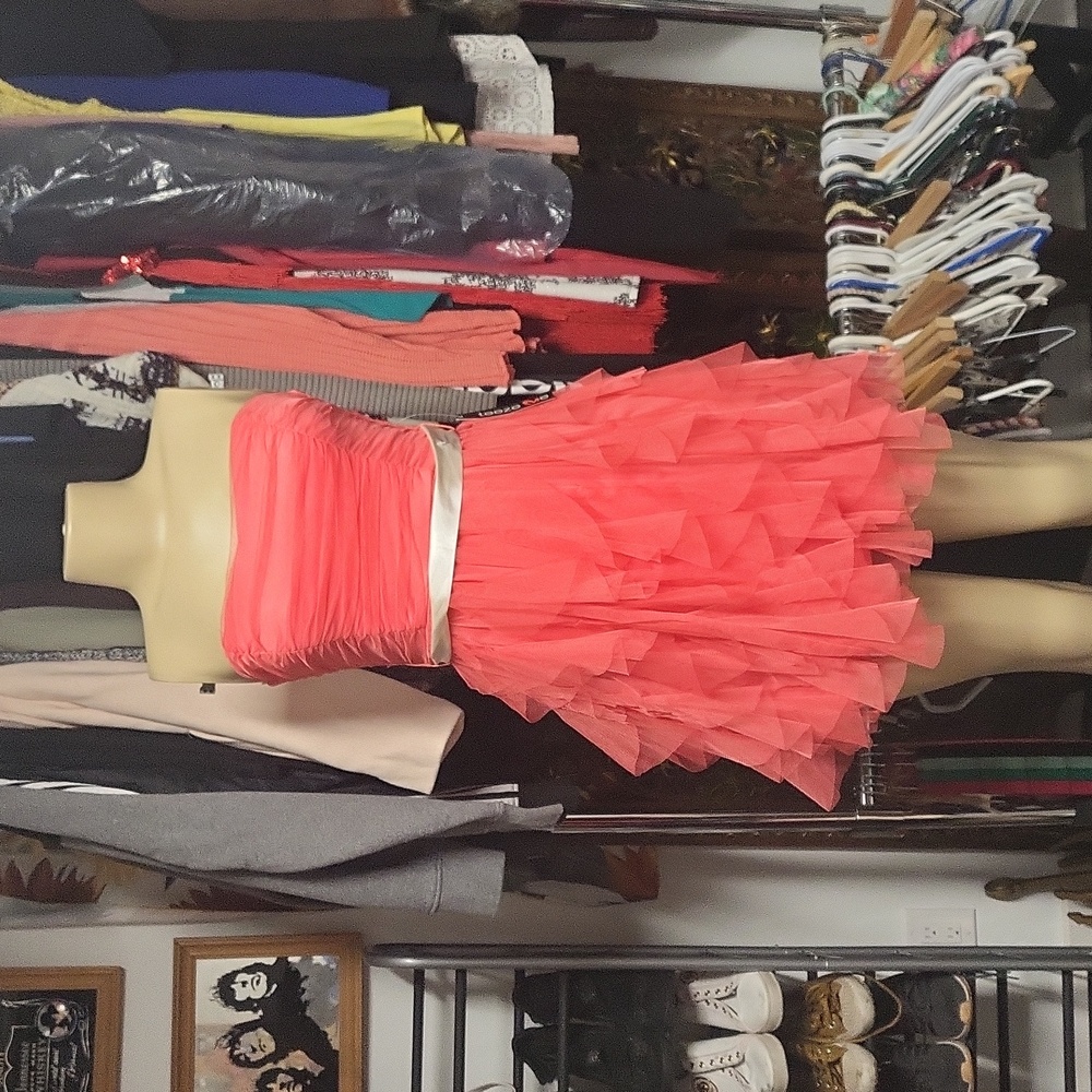 Teeze me dress 5